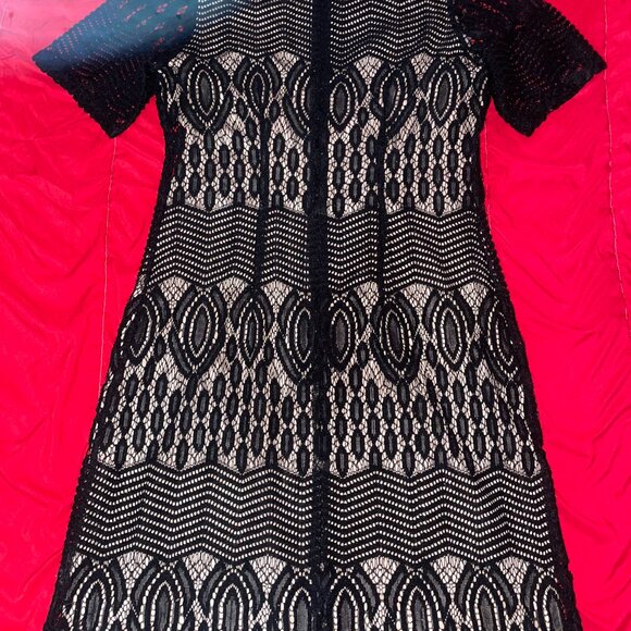 Black Lace Dress - Picture 2 of 2
